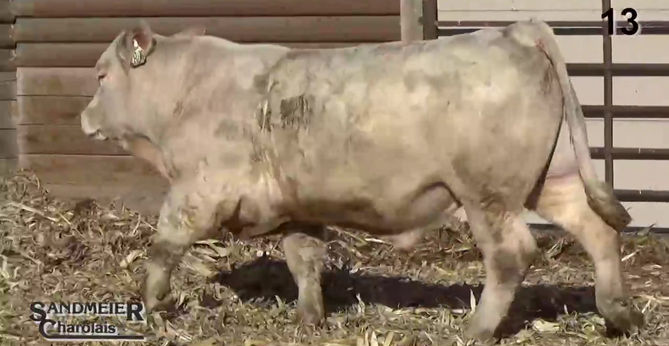 13_b0d95b64baeab5ce29a550bf6b15b256